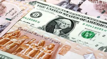 سعر الصرف المستقر.. تحركات الدولار مقابل الجنيه المصري في تعاملات البنوك اليوم